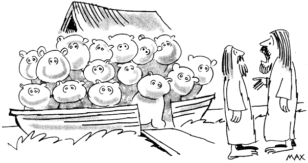 [ Noah's fejltagelse ]