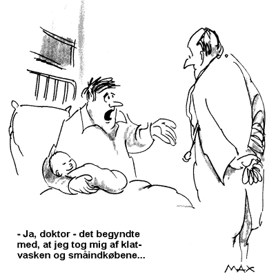 [ F&oslash;dsel ]