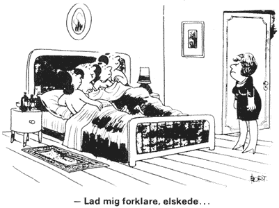 [ Forklaring beh&oslash;ves ]