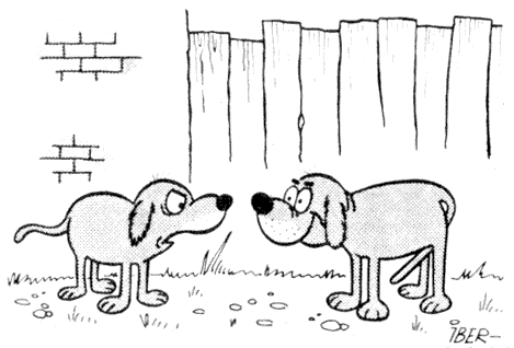 [ Hunde ]