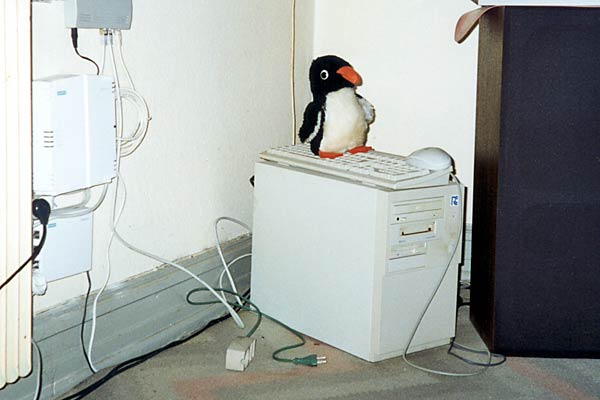 Server